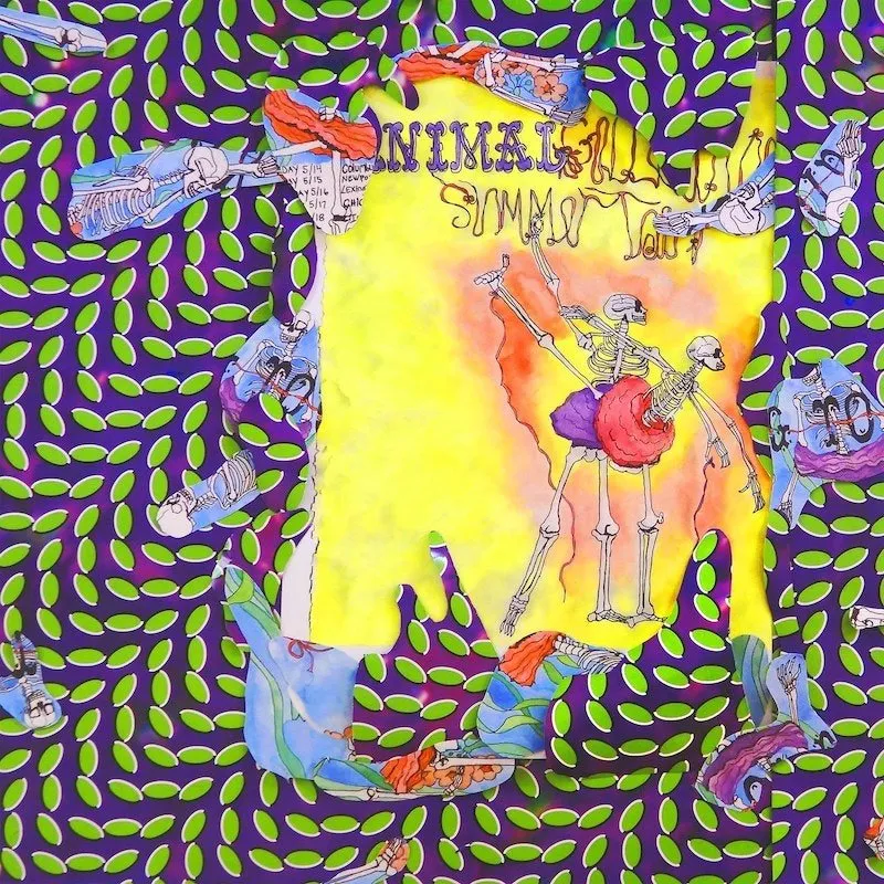 Animal Collective - Ballet Slippers [New Vinyl]