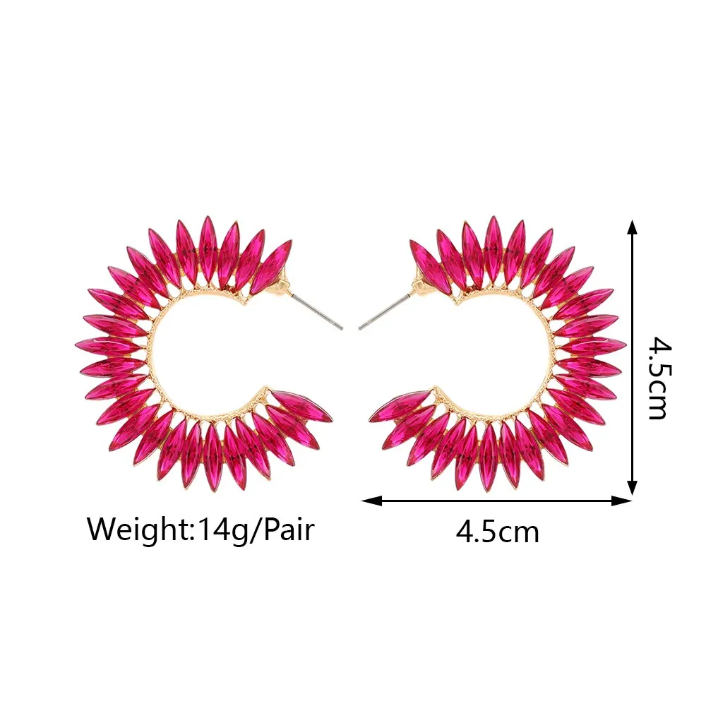 Fashion Big Circle Hoop Earrings For Women